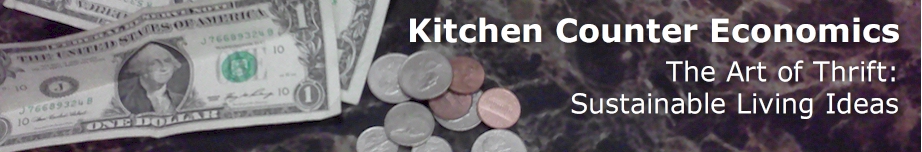 Kitchen Counter Economics Rotating Header Image