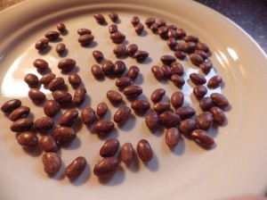 beans1